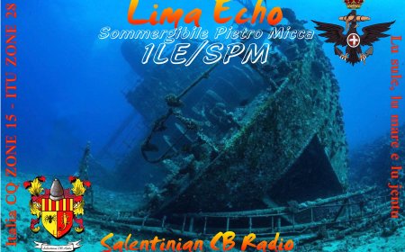 1LE/SPM
