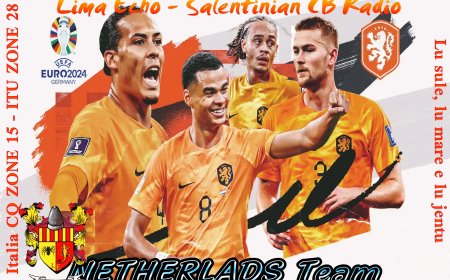 1LE/NED24