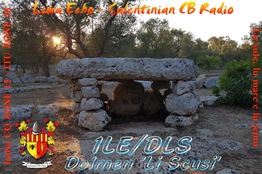 1LE/DLS