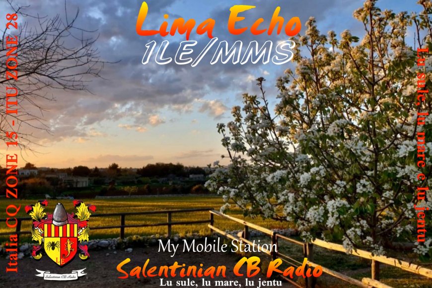 1LE/MMS